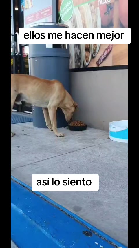 @Andreina