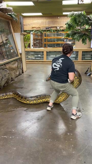 @The Reptile Zoo