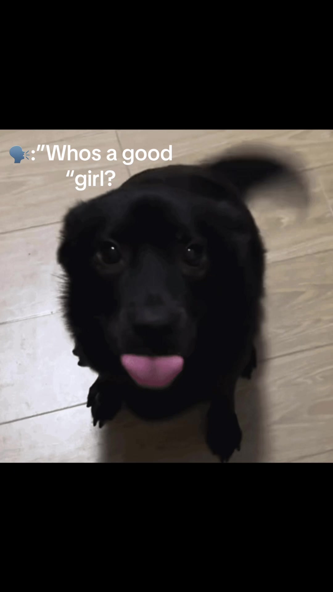 @puppy🐾