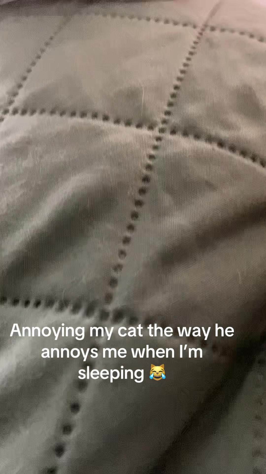 @Lilly__Star