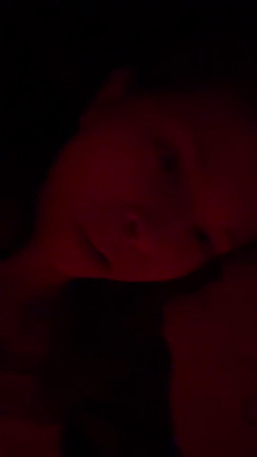 @aftontucker06
