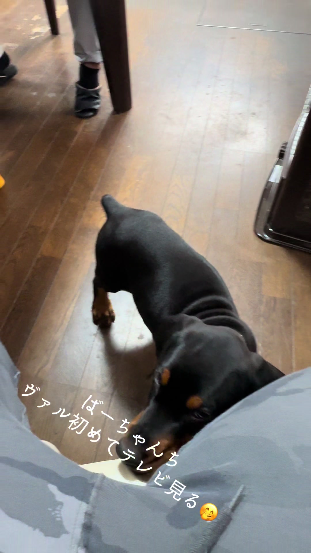@シオン