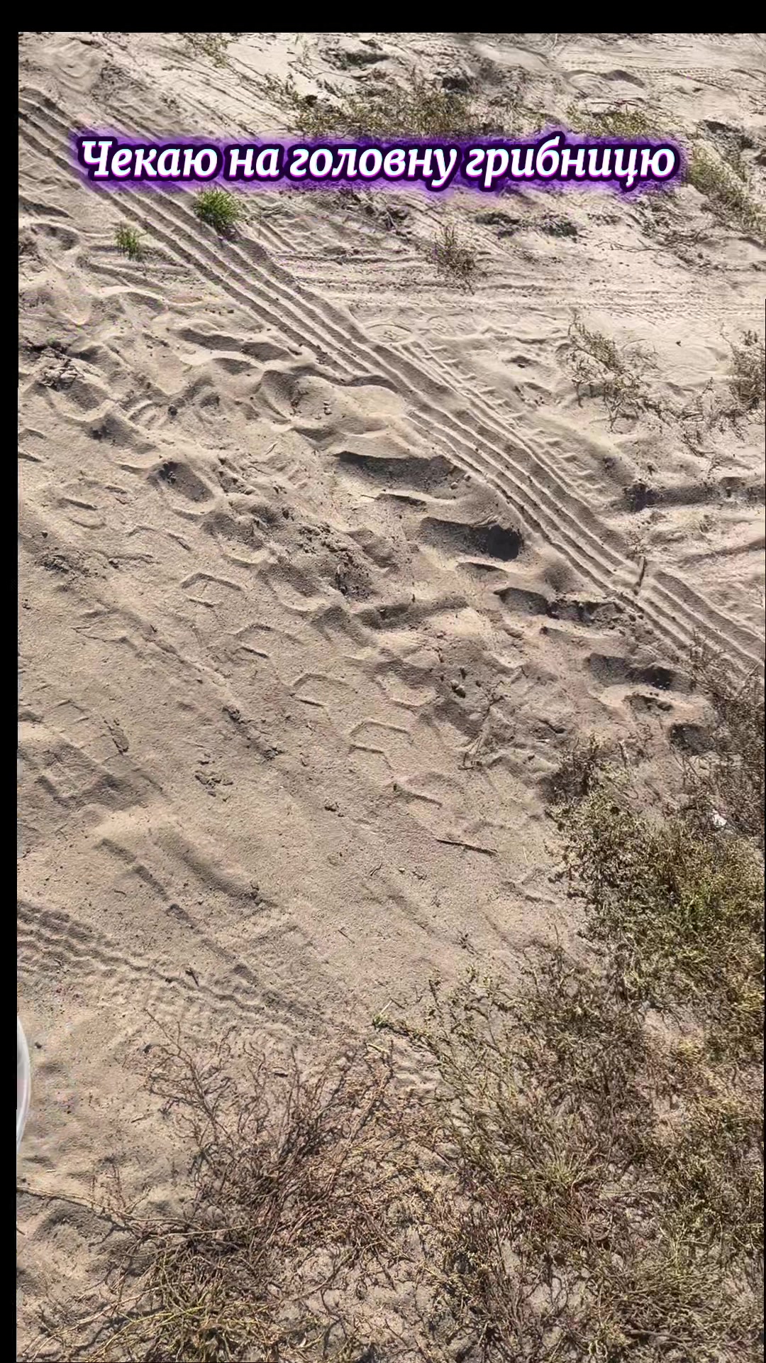 @Sofiiabilko