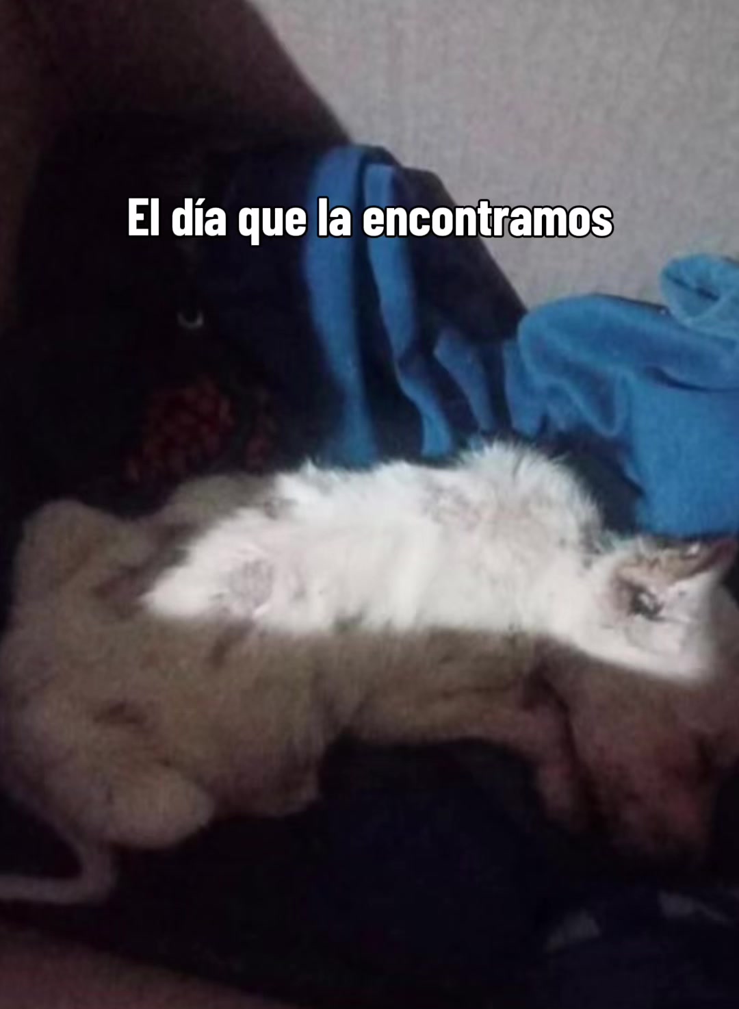 @Mar&iacute;a Ru&iacute;z D&iacute;az