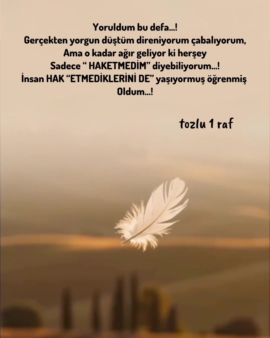 @tozlu1raf_