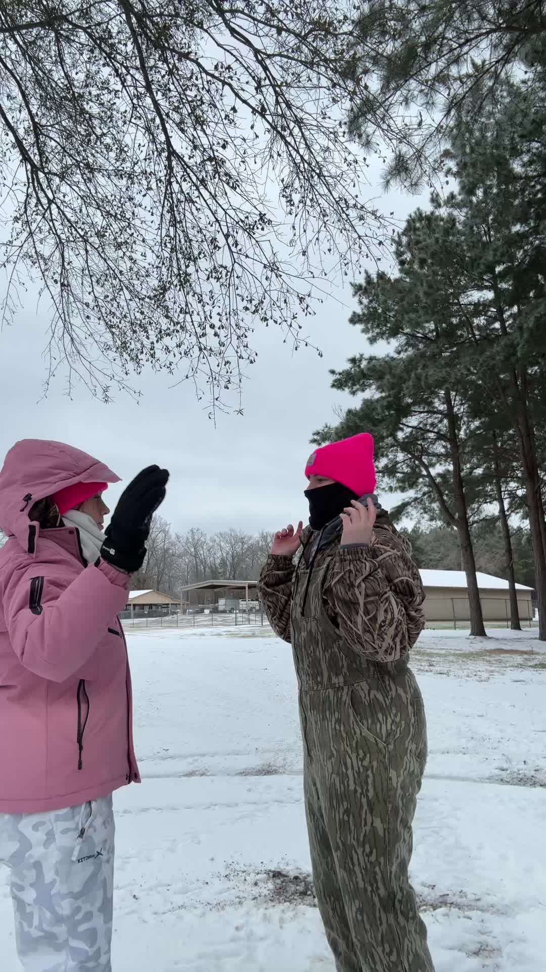 @lorelai