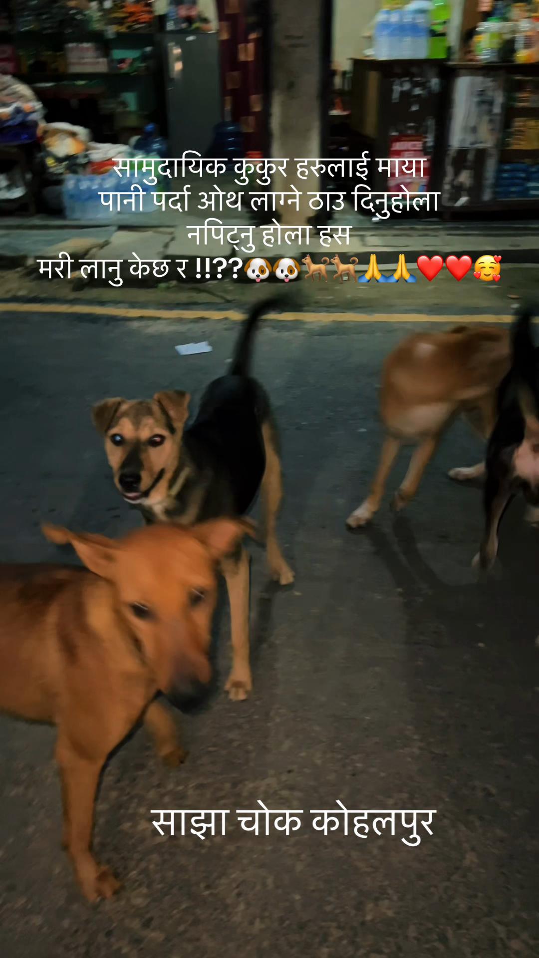 @जय शम्भु🌿🙏🏻🇳🇵Gita Chettri