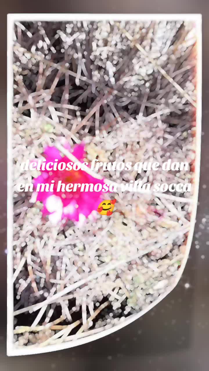 @EvaRut🌟🍀