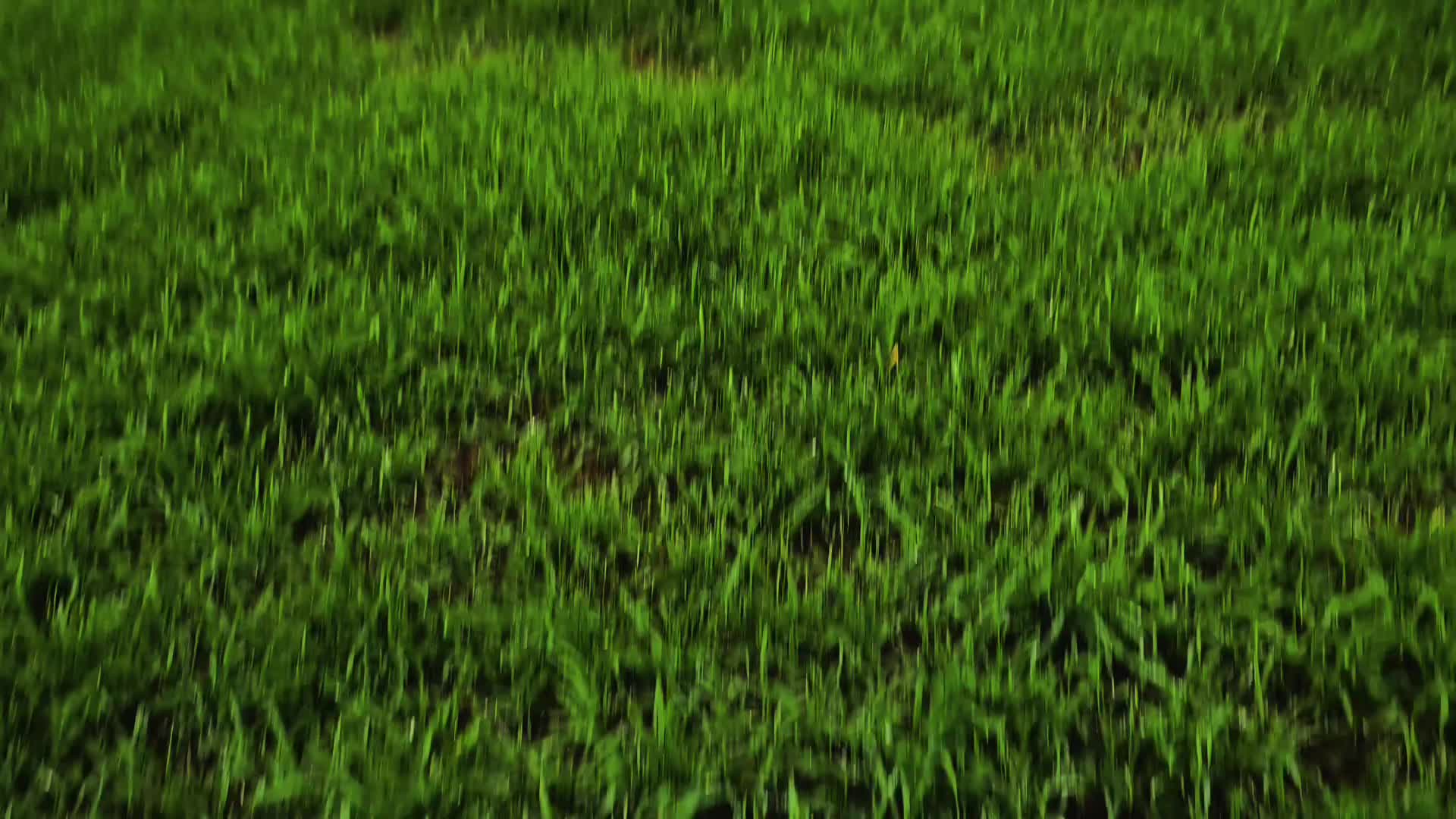 @𝖘𝖙𝖆𝖗𝖘𝖊𝖉