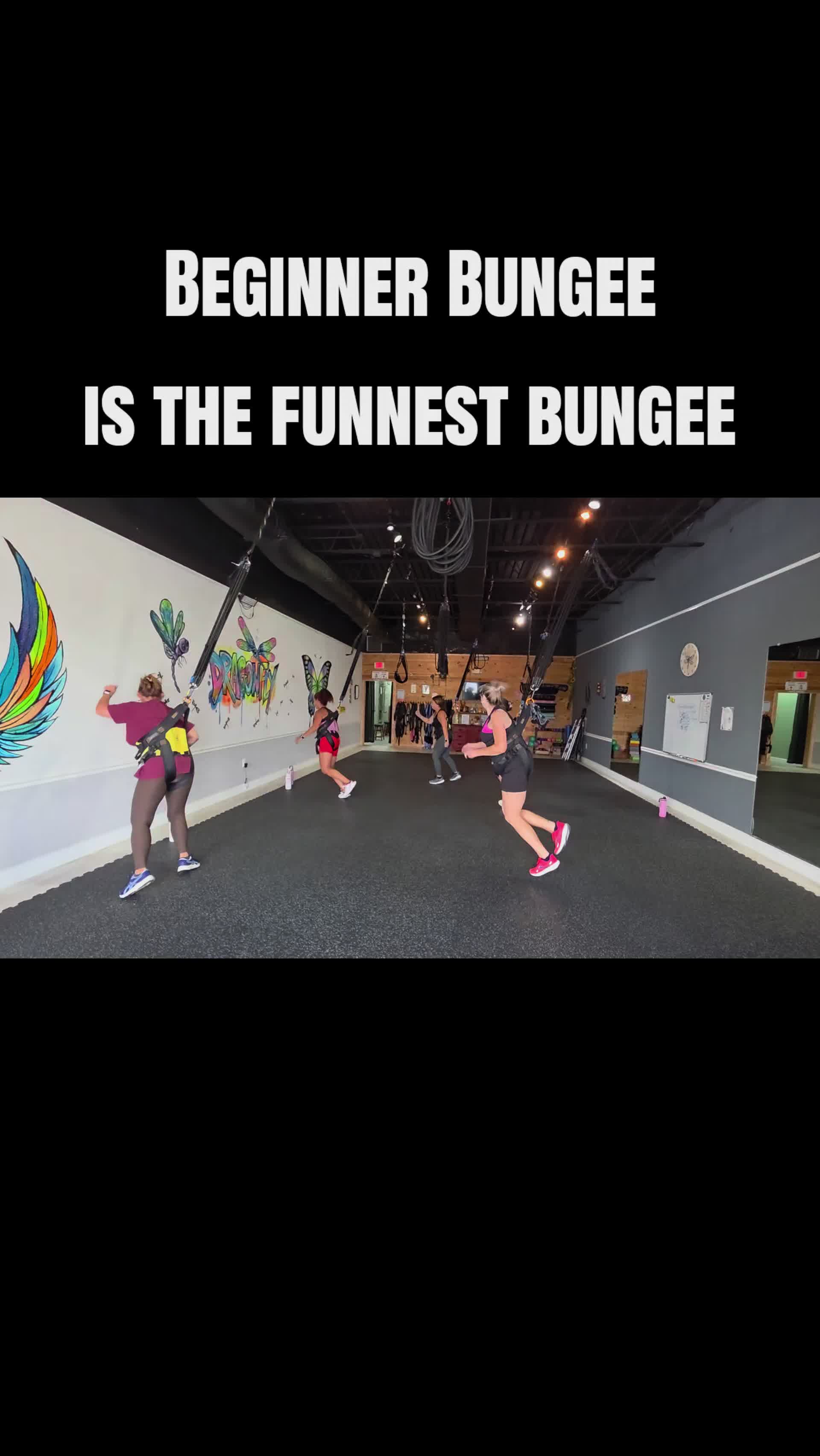@Dragonfly Bungee