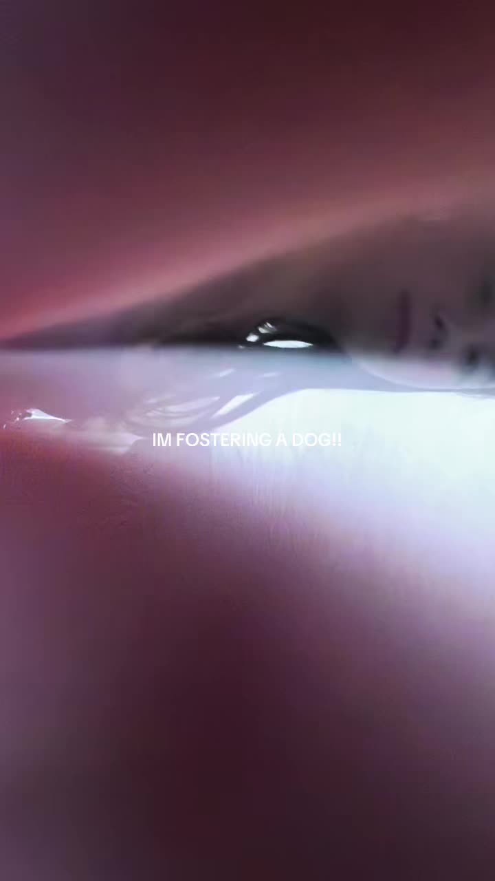 @> Kai <