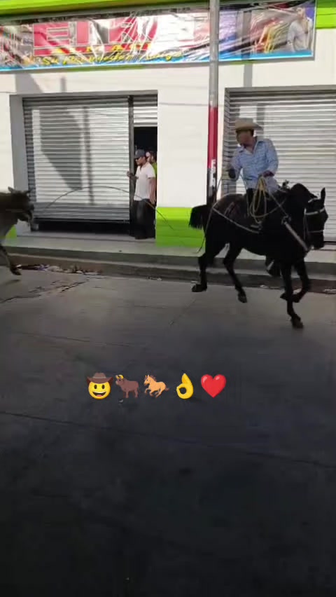 @jeo🤩