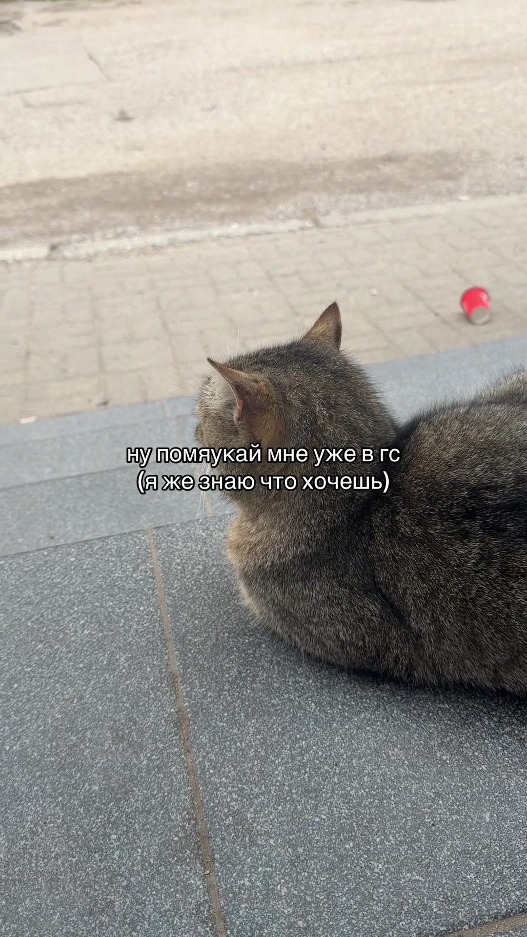 @𝙋𝙊𝙋𝙐𝙇𝘼𝙍 𝙈𝙐𝙎𝙄𝘾