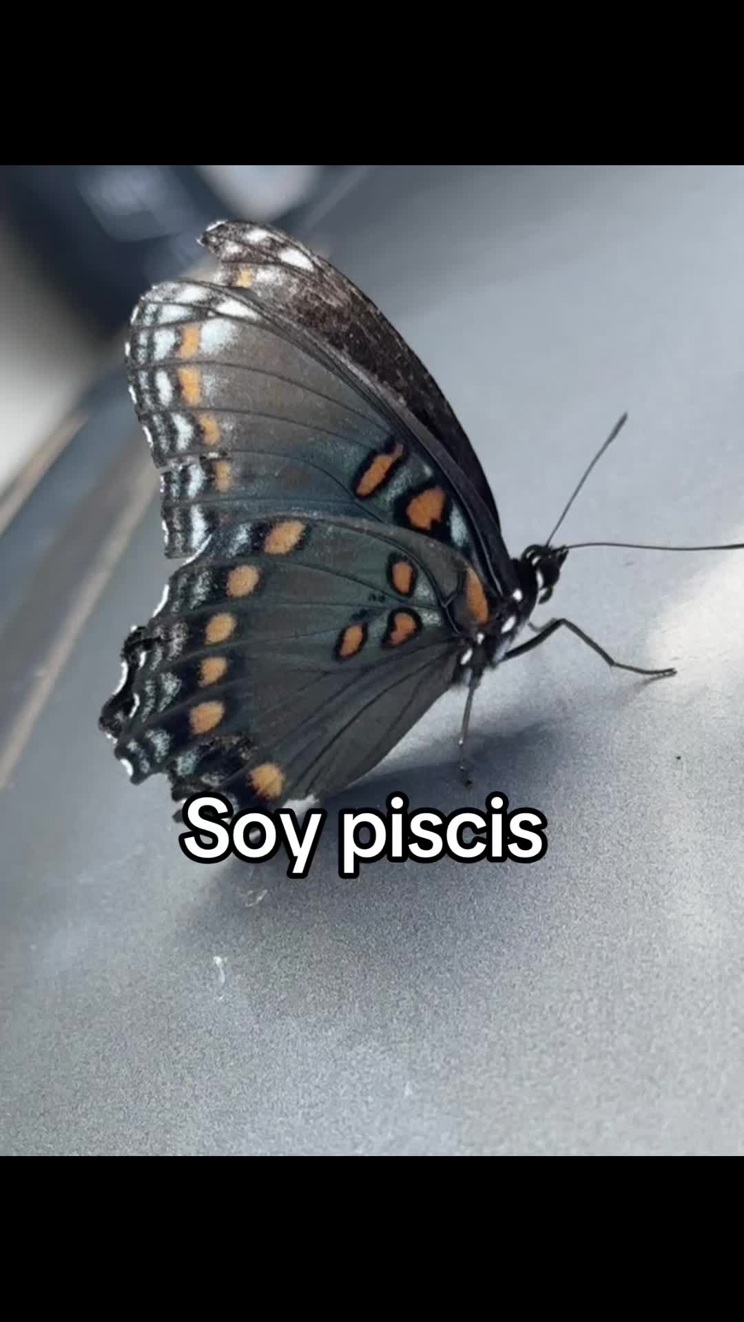 @Sandra