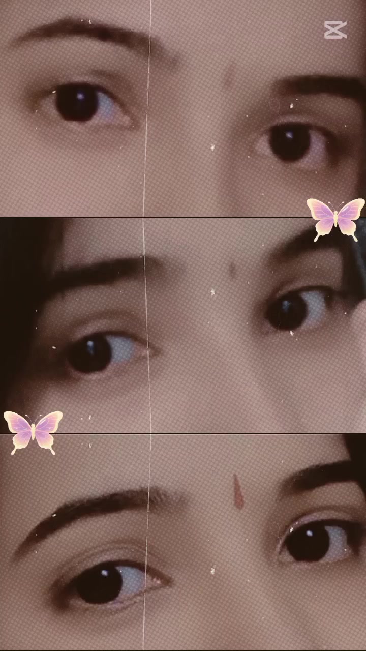 @โจ๐๐๏ธโค๏ธ๐๐๐๐๐๐โค๏ธ๐๏ธ๐โจ
