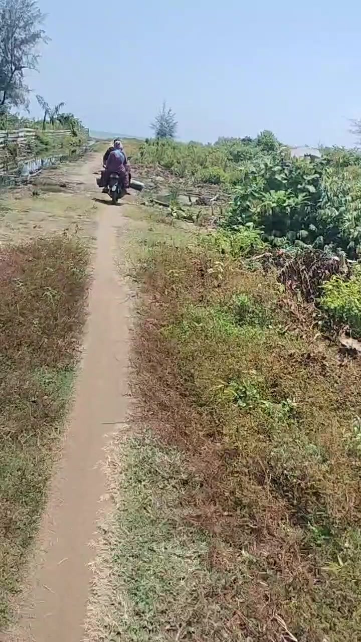 @آدي لوبيس
