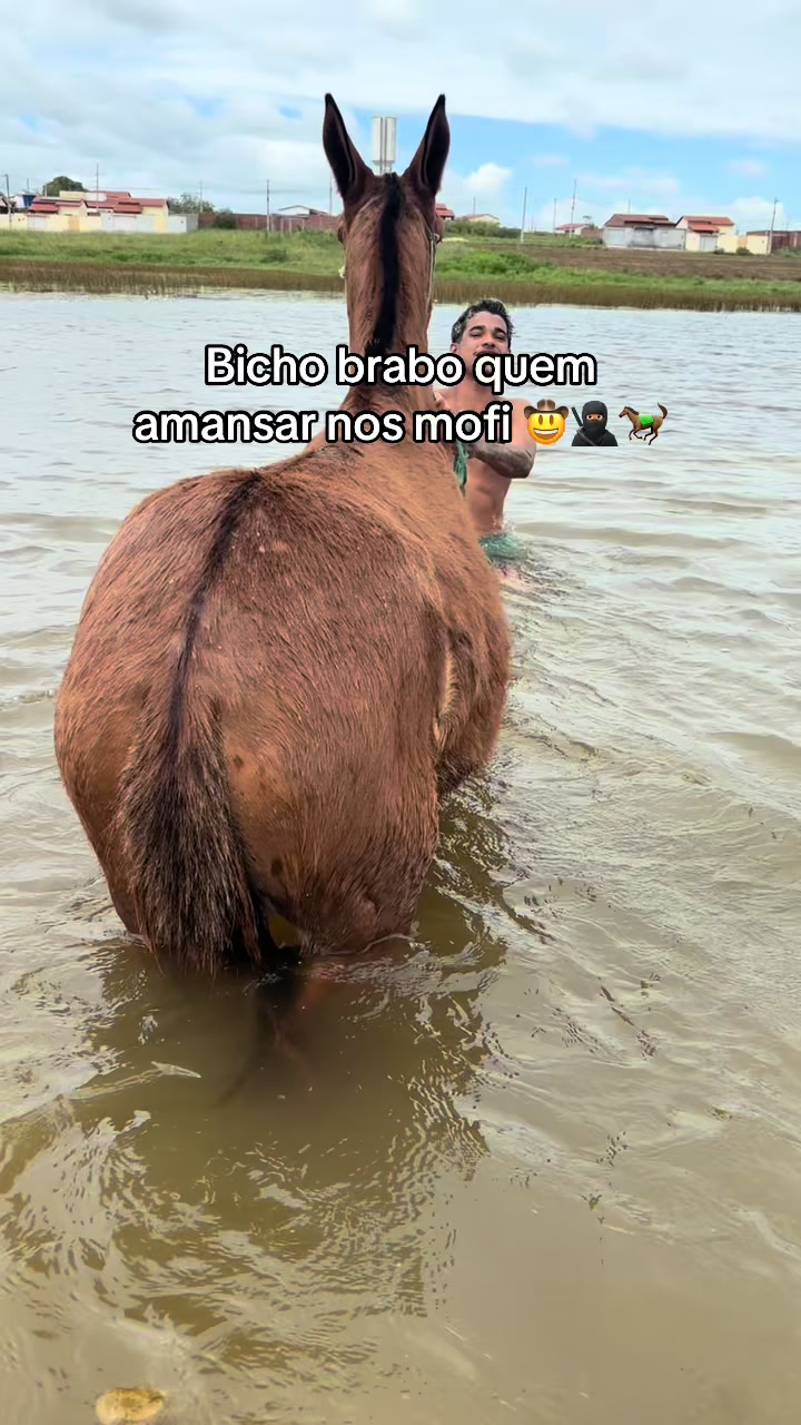 @Gabriel escama