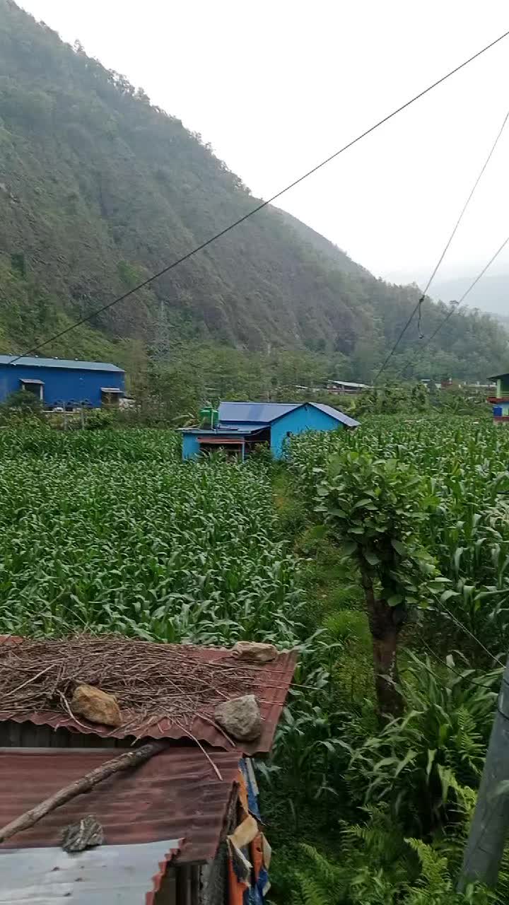 @Krishna Adhikari