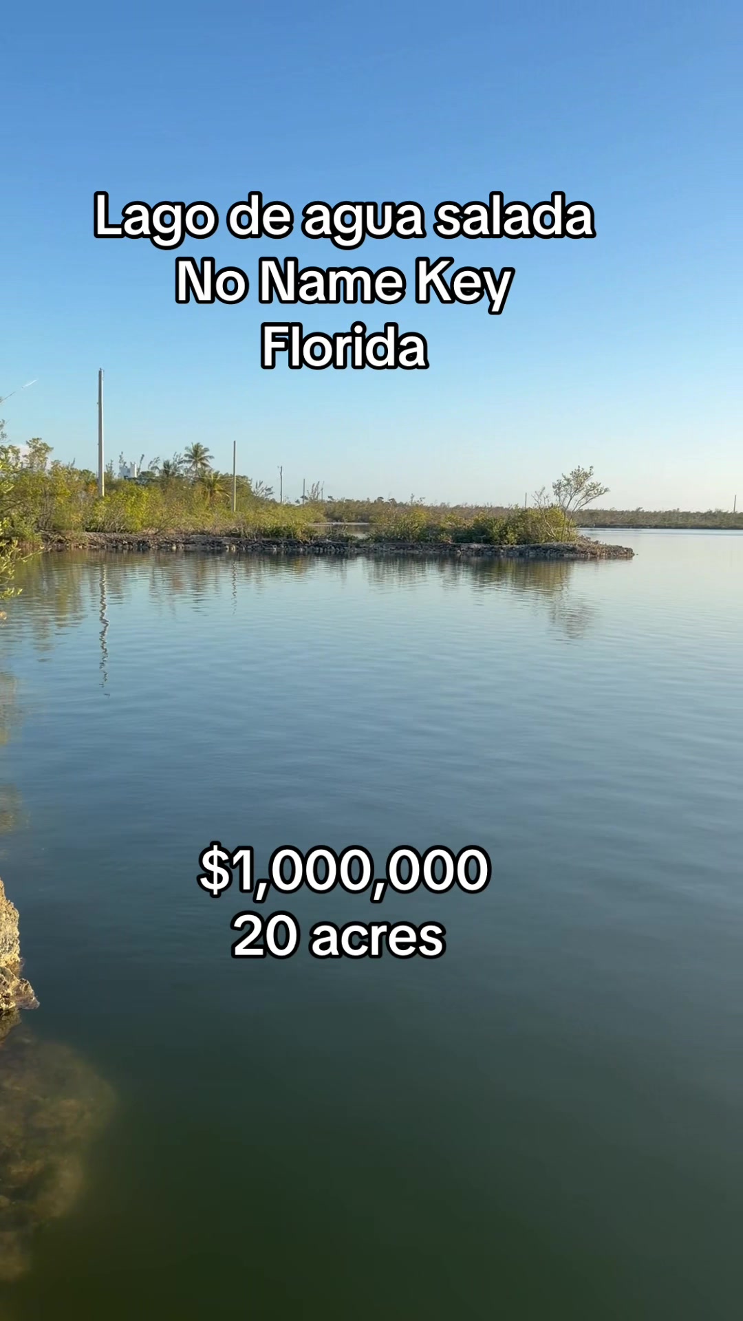 @Florida Land Guy