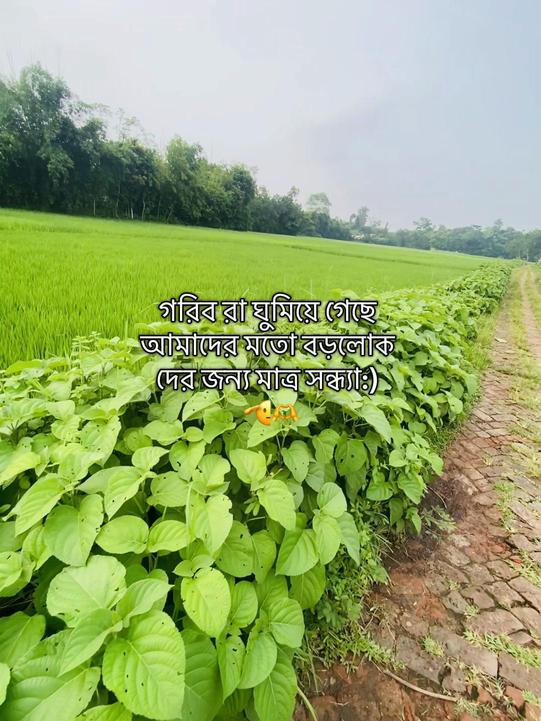 @টিক_টকি 🐸
