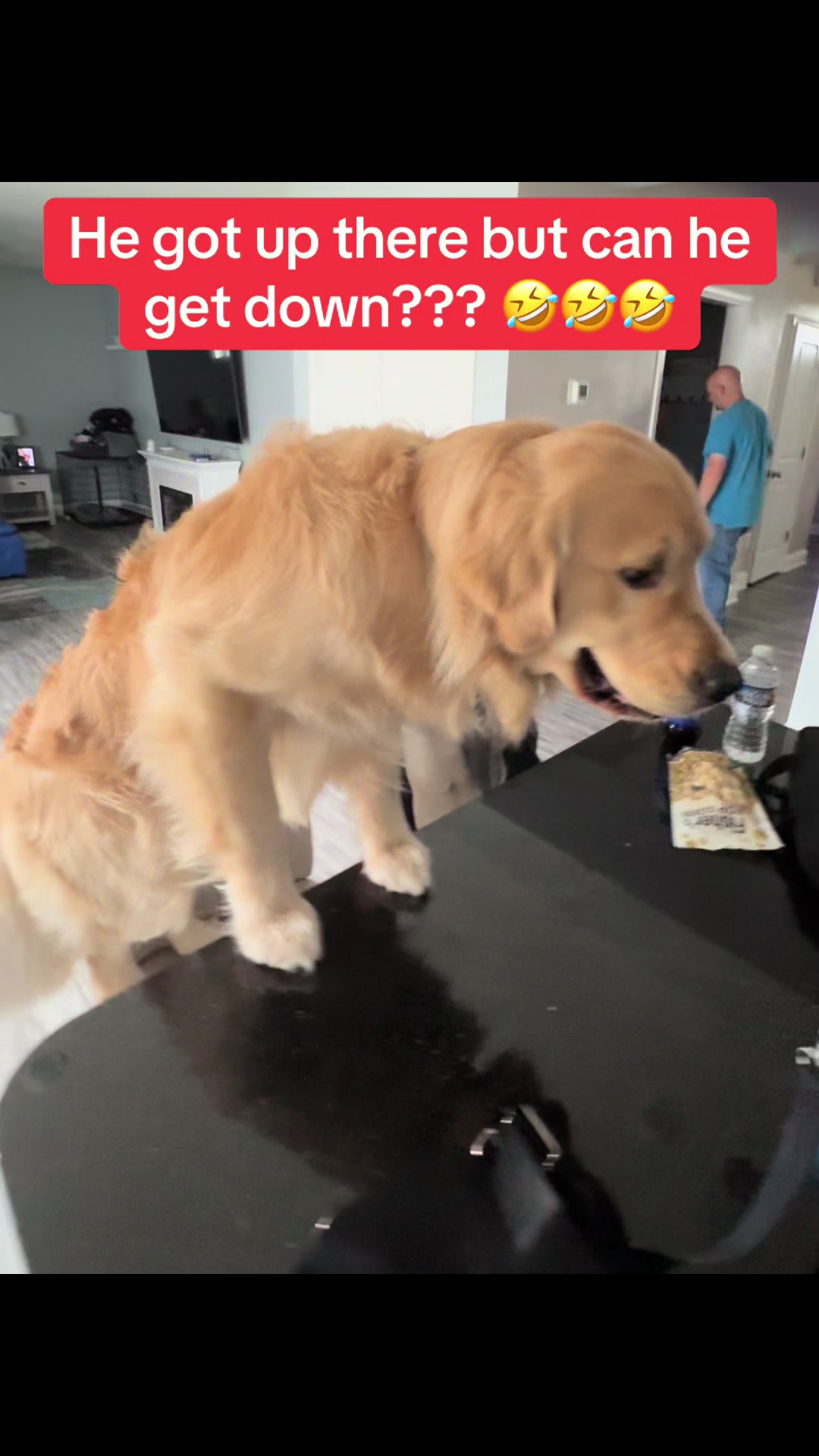 @Tucker_tha_Golden