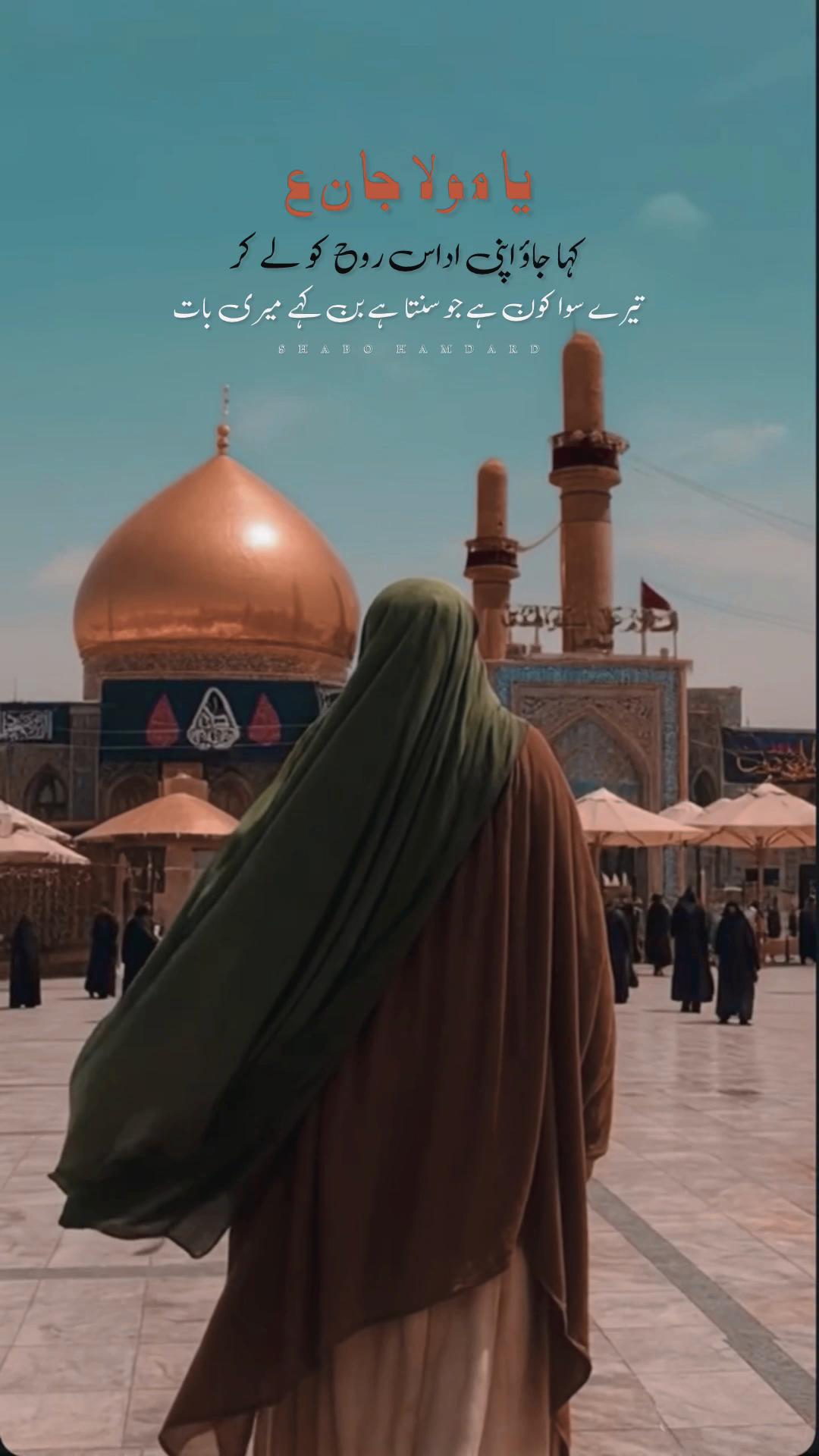 @🕊️SHaBo__HaMdarD🤍🚩