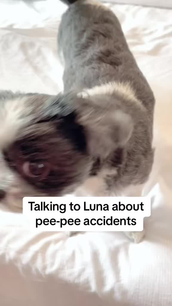 @LittleLuna.and.Lola