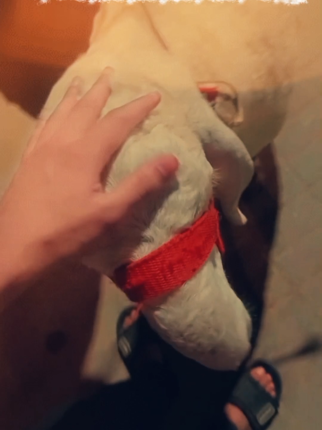 @ꪖنꪖડ🕊️