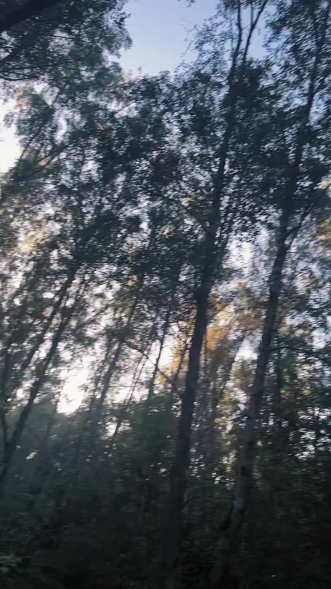 @poland ࣪𖤐