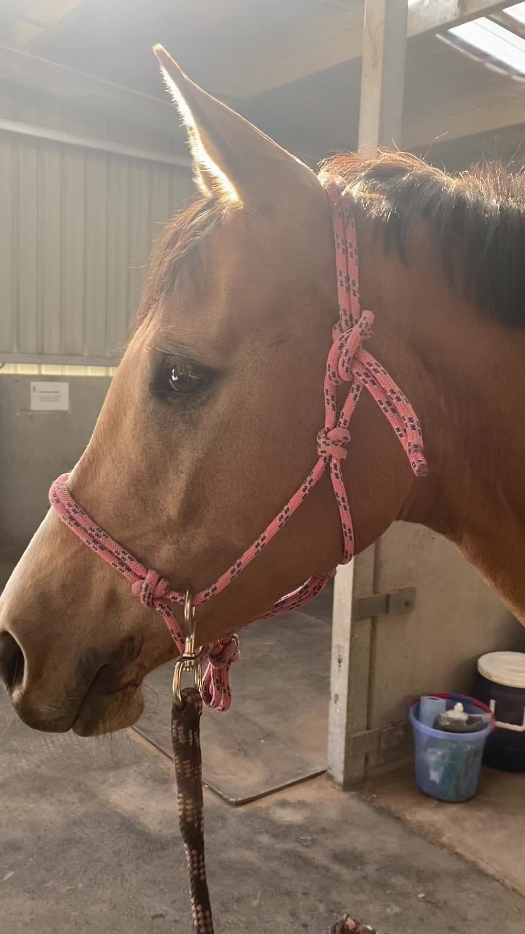 @Lyla_eventing