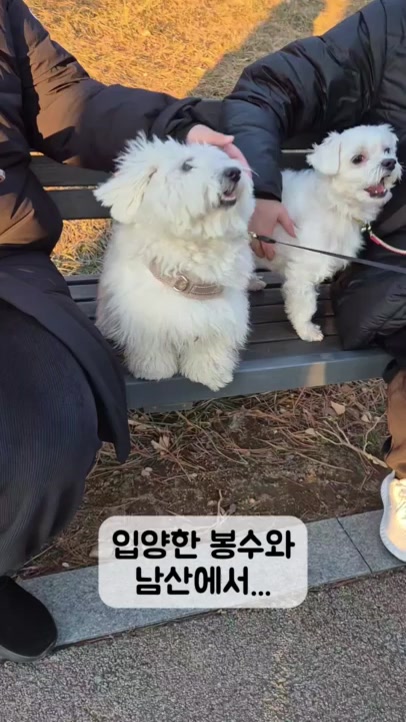 @꼬똥로리