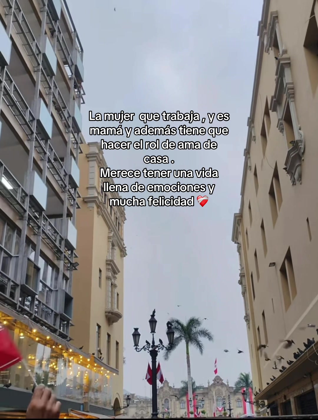 @Brilla en tu caos💫