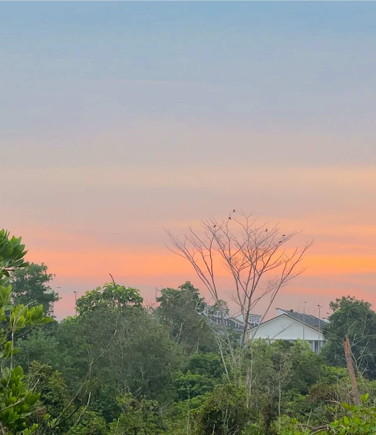 @প্রকৃতি 🍃