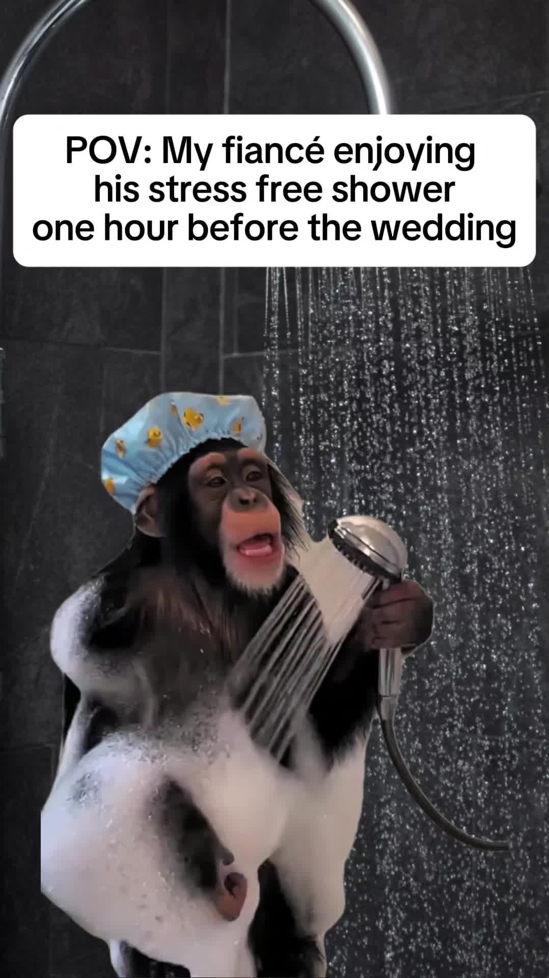 @The Wedding Boss