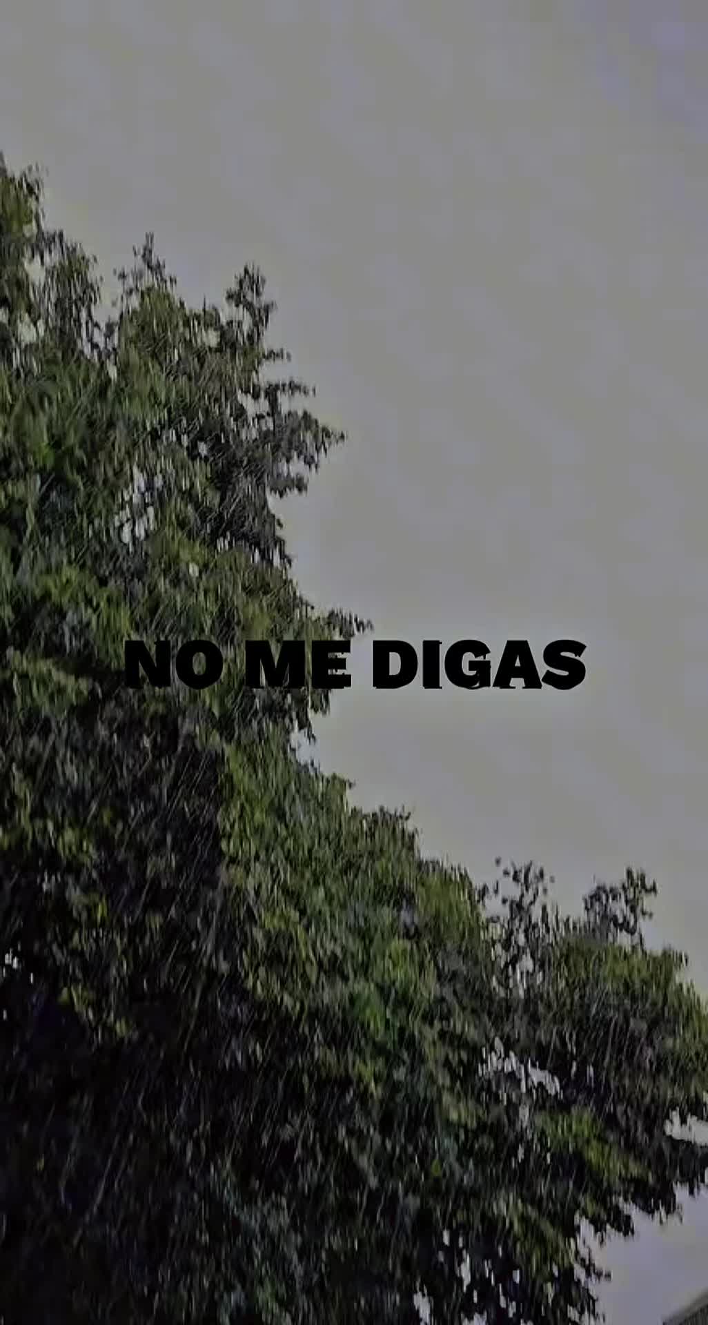 @Francisco javier