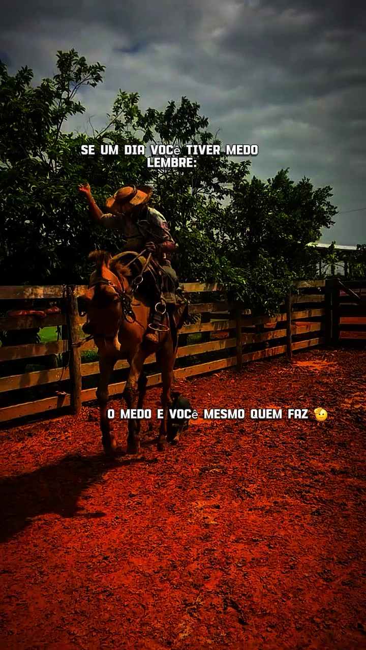 @pecuária modão caipira