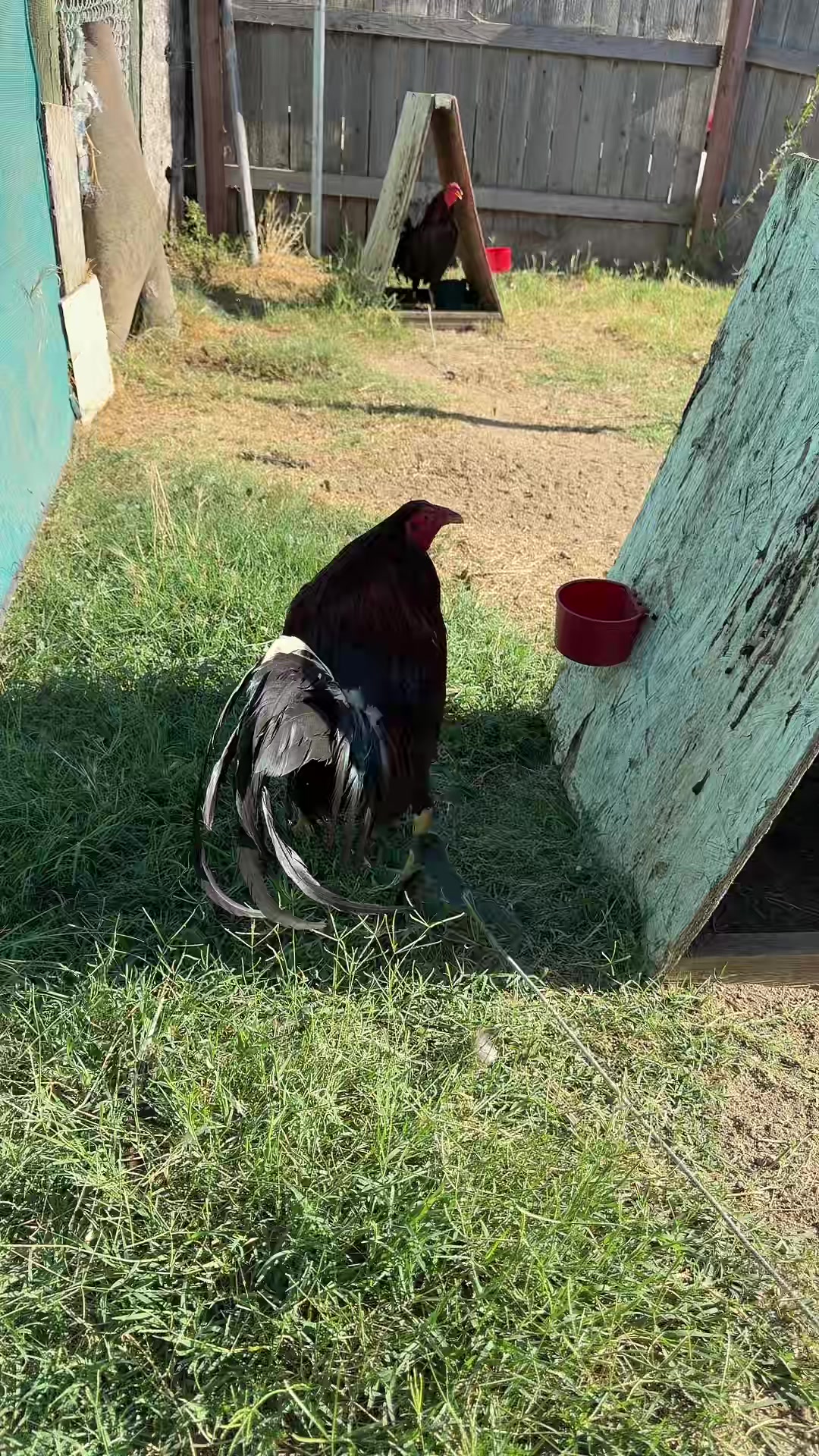 @Stranger Game Farm