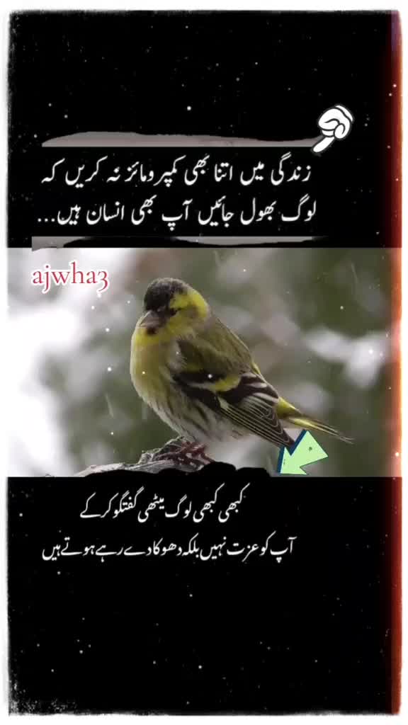 @shakir
