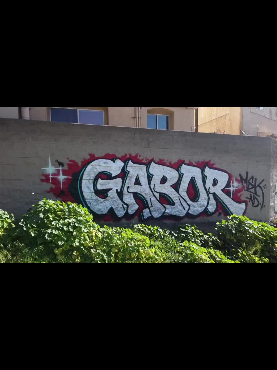 @GaborMSK.AD.TSL