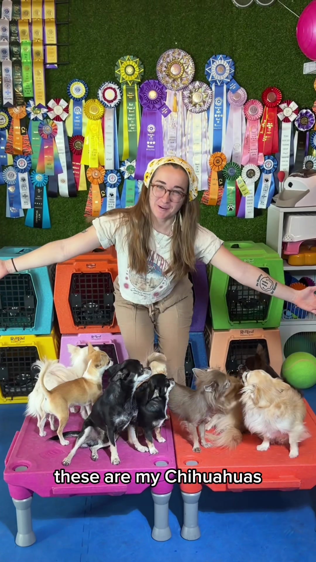 @CanineAntics