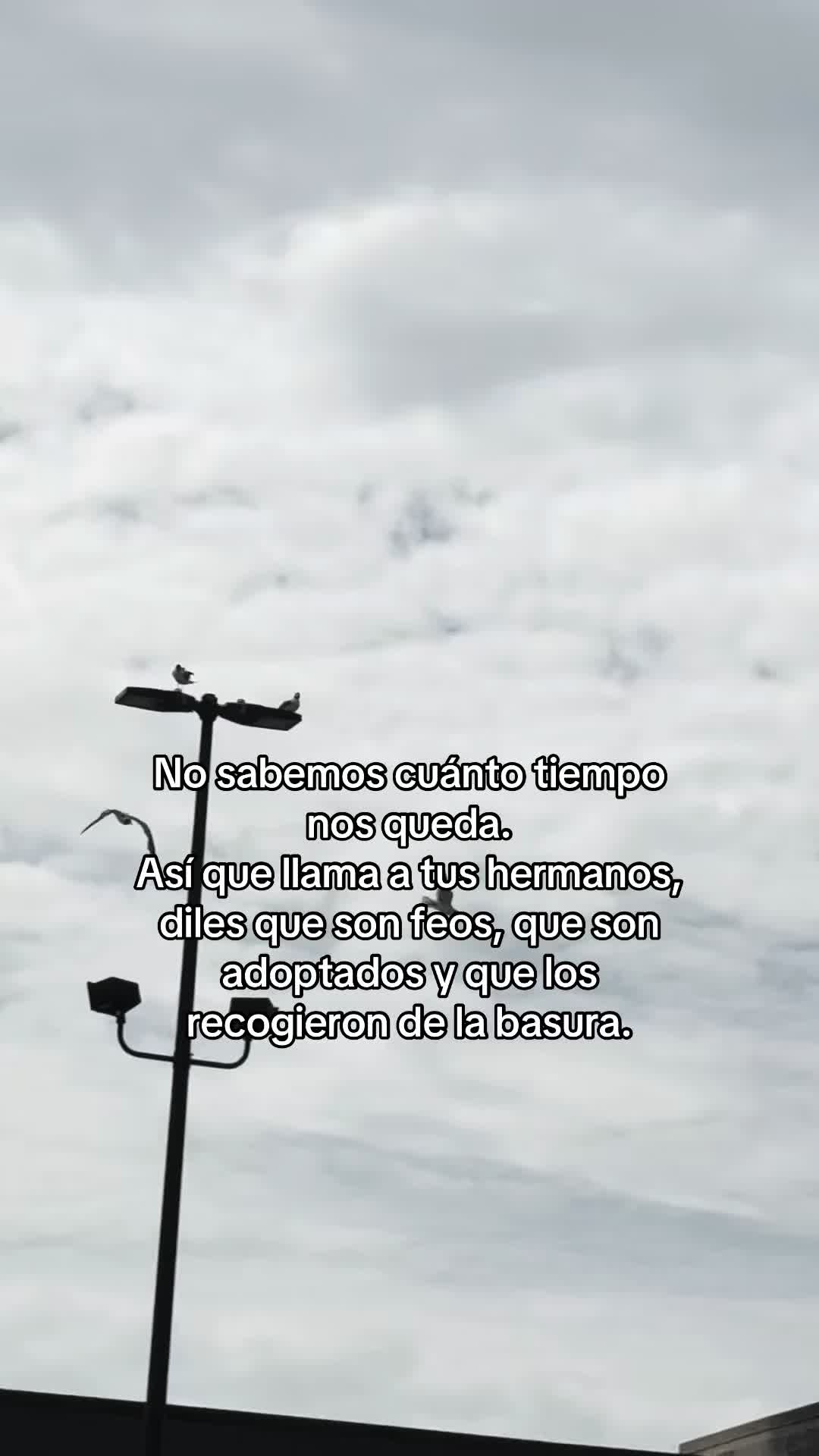 @CAROL🦋