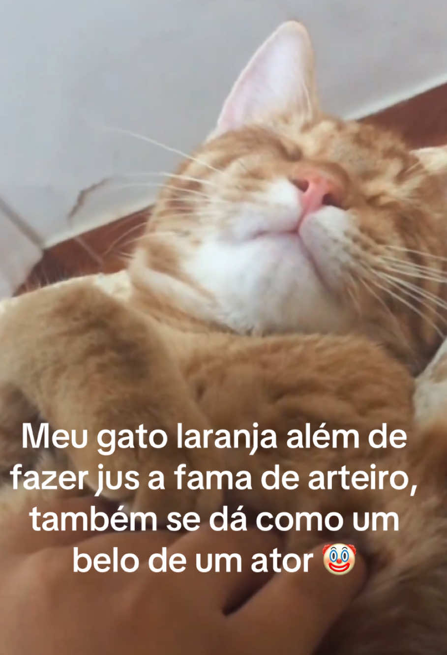 @yasmin.torquato