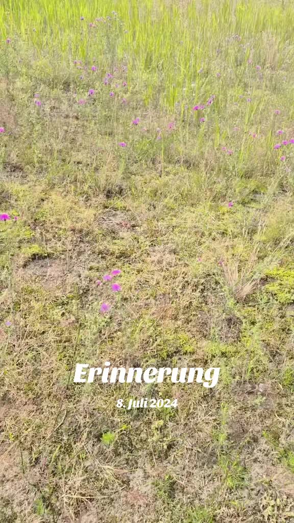 @__dr3amer_j3nny__