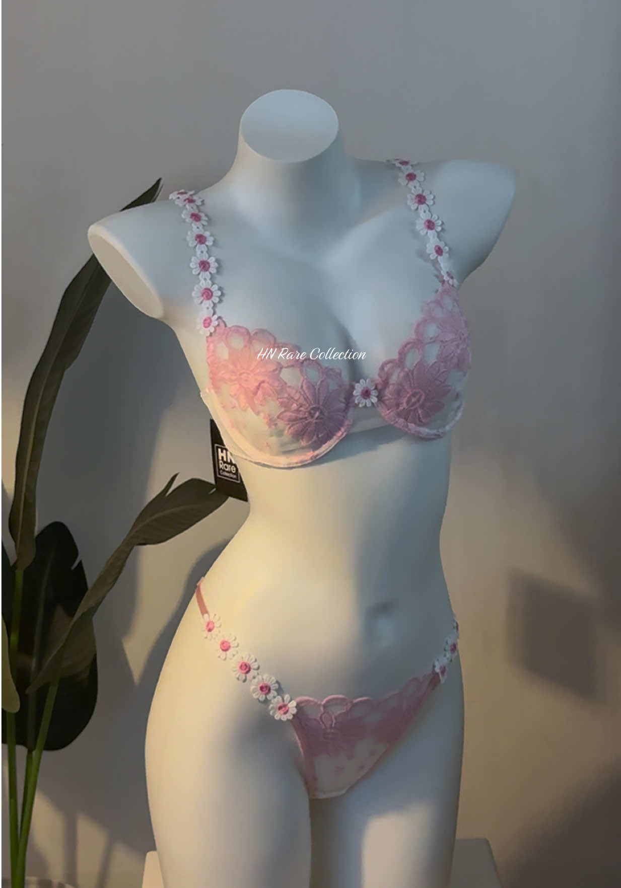 @HN Rare Collection