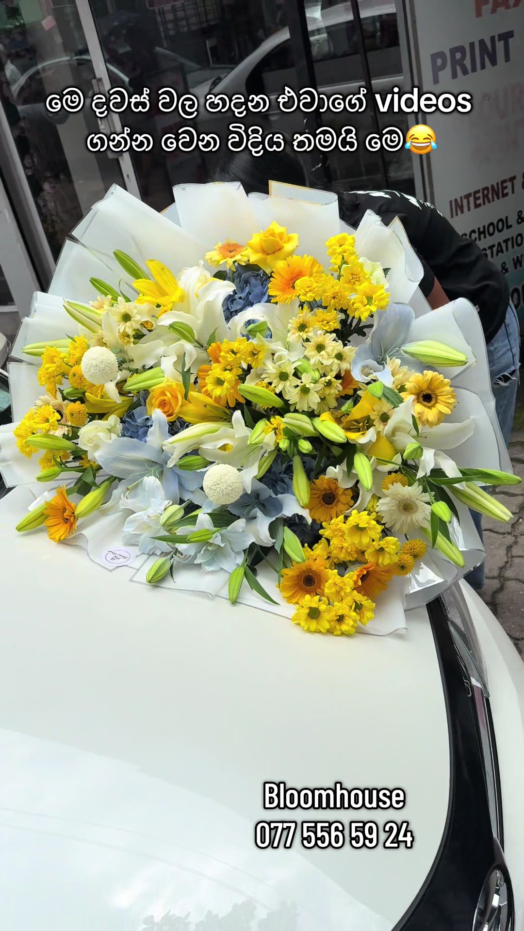 @Bloomhouse