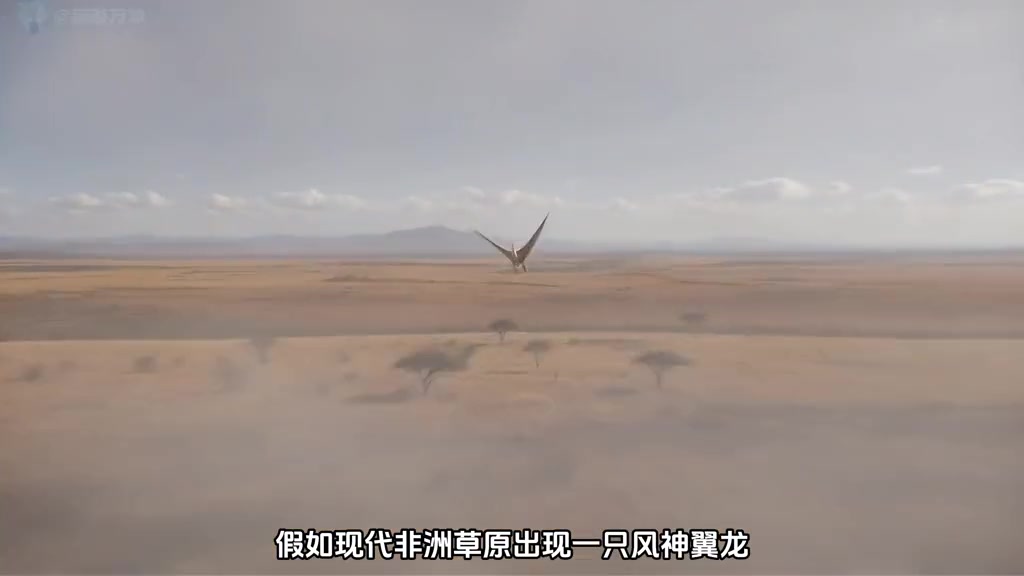 @神秘解碼