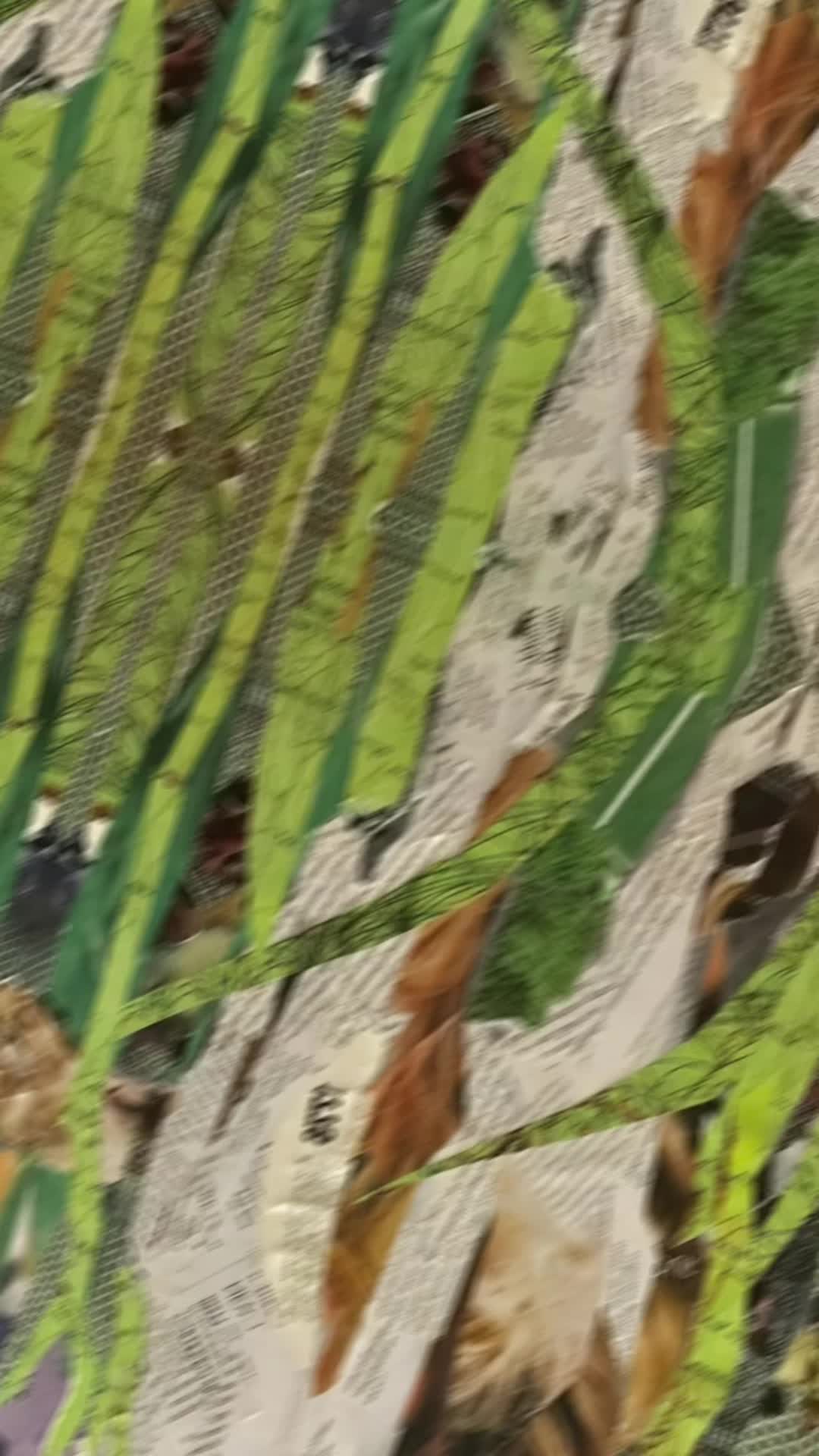 @Kev art