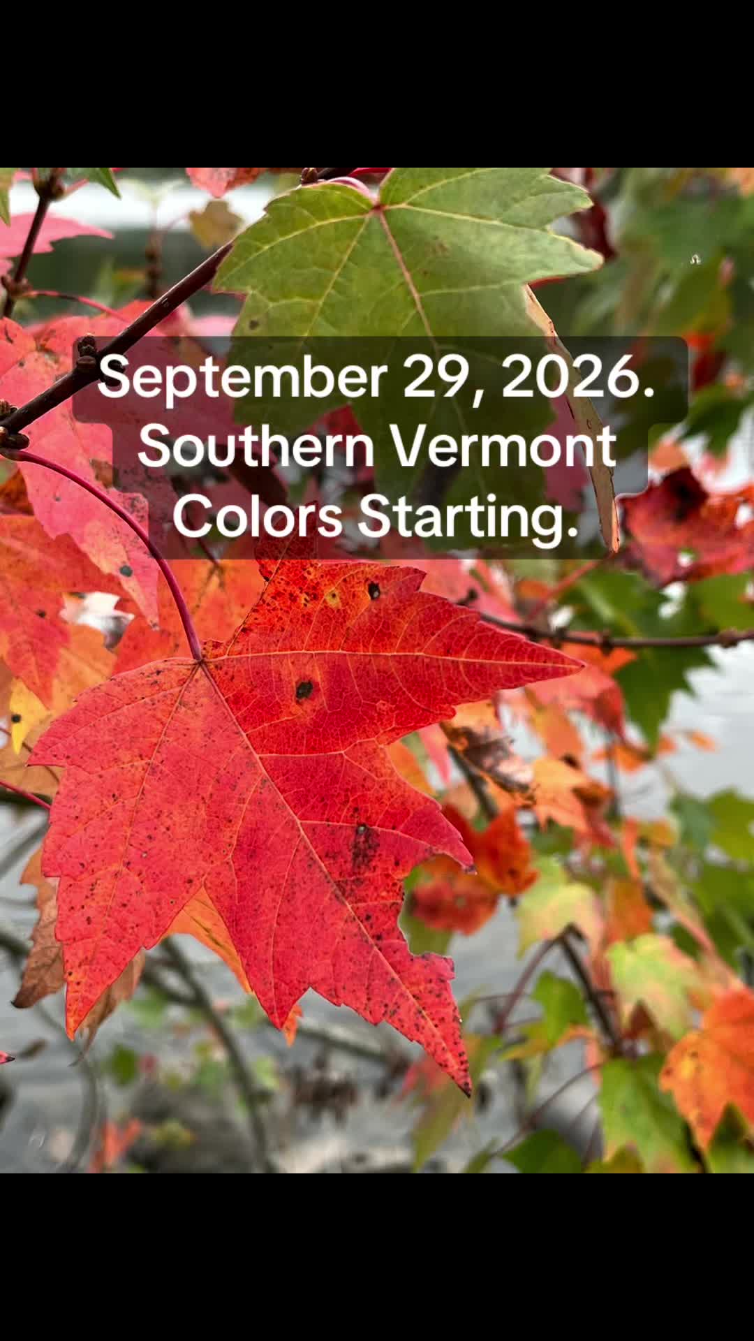 @Vermont Outdoors