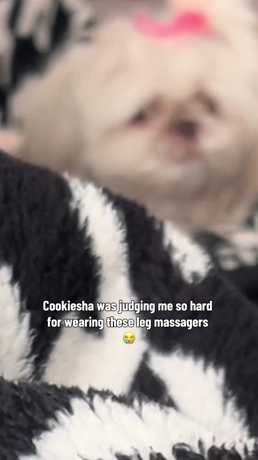 @nitaandcookiesha