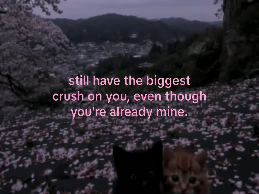 @mond